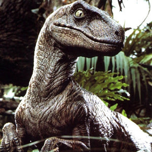 Velociraptor | Diamond Painting