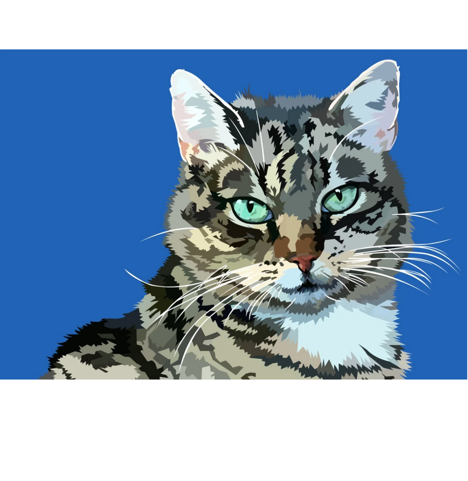 Kat | Exclusieve Diamond Painting