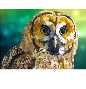 Uil | Exclusieve Diamond Painting