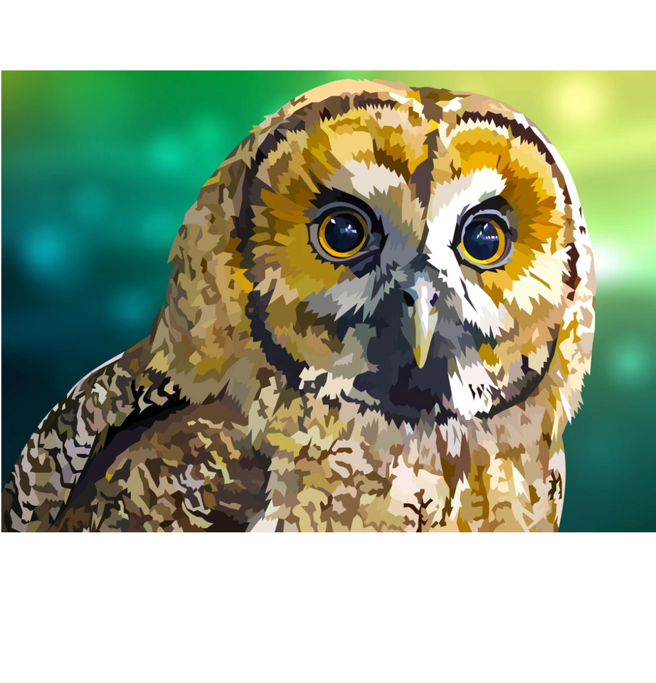 Uil | Exclusieve Diamond Painting