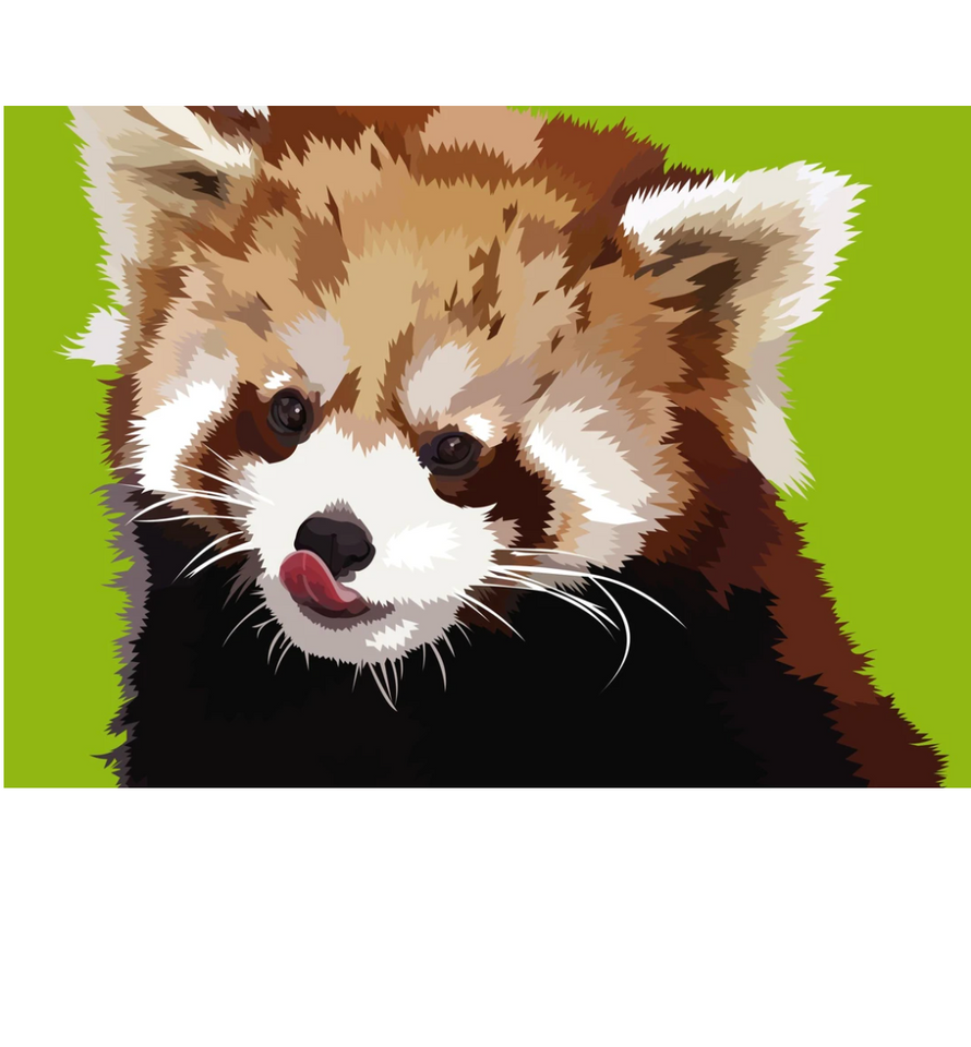 Kleine Panda | Exclusieve Diamond Painting