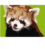 Kleine Panda | Exclusieve Diamond Painting