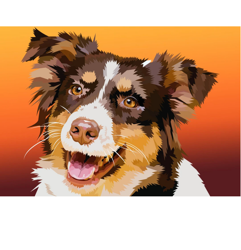 Bordercollie | Exclusieve Diamond Painting