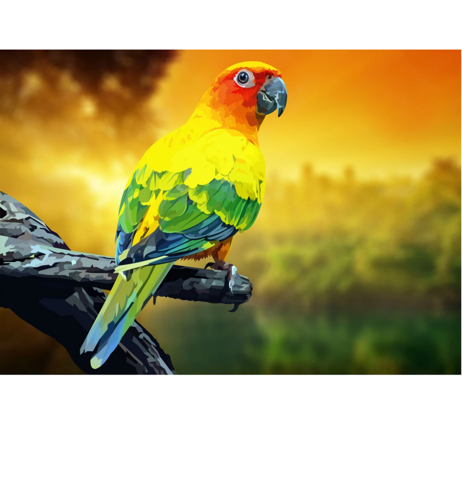 Papegaai | Exclusieve Diamond Painting