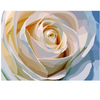 Witte Roos | Exclusieve Diamond Painting