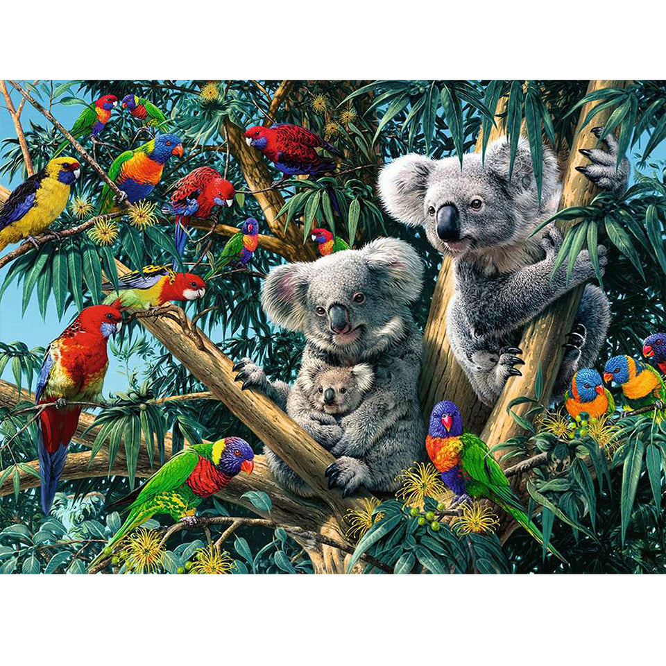 Koala