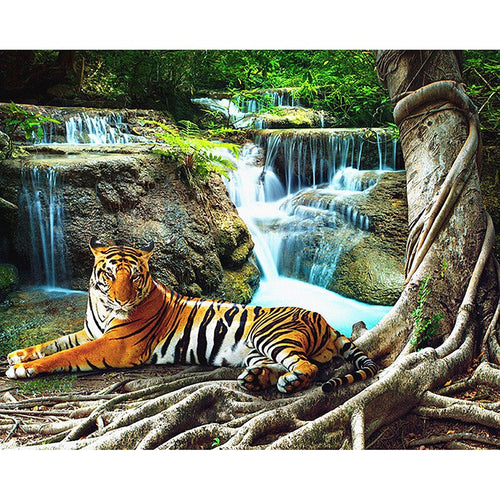 Tijger - Waterval