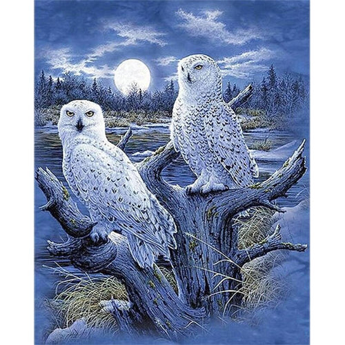 Sneeuwuilen | Diamond Painting