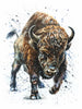 Bizon | Diamond Painting