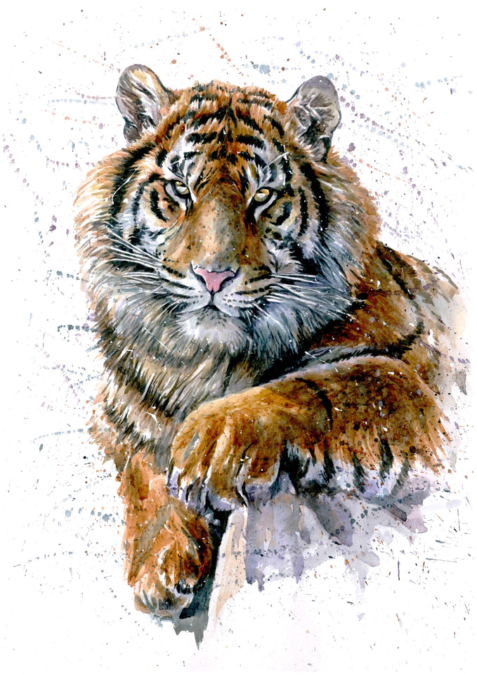 Tijger | Diamond Painting