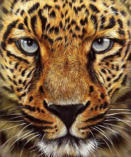 Luipaard | Diamond Painting