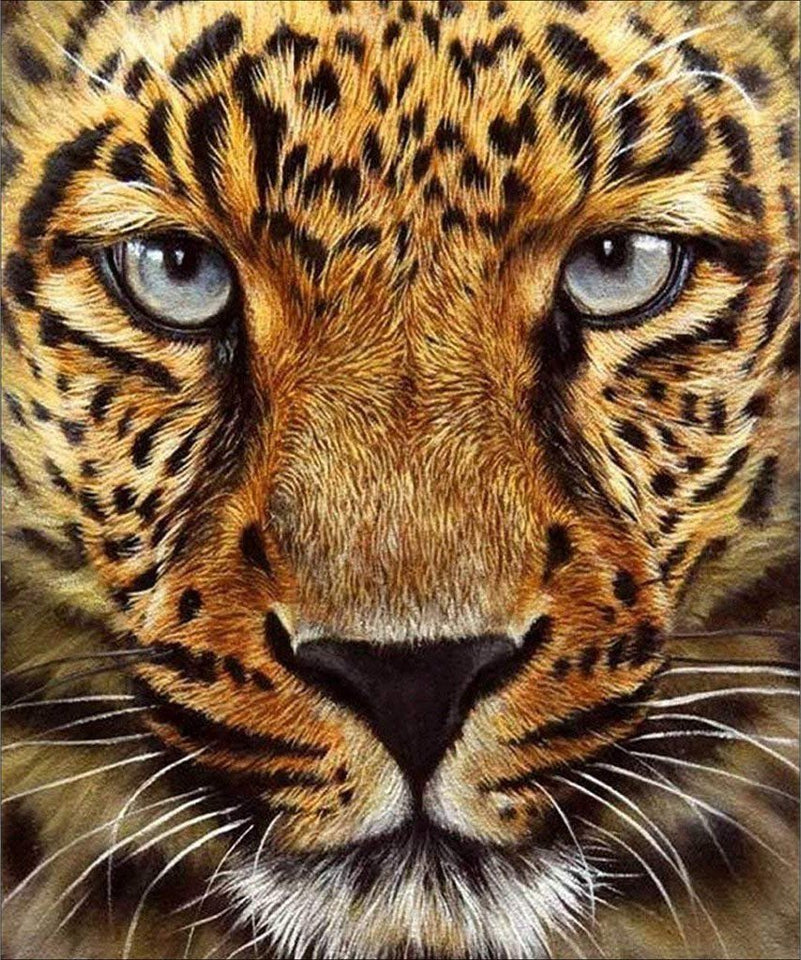 Luipaard | Diamond Painting