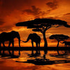 Olifant - Zonsondergang | Diamond Painting