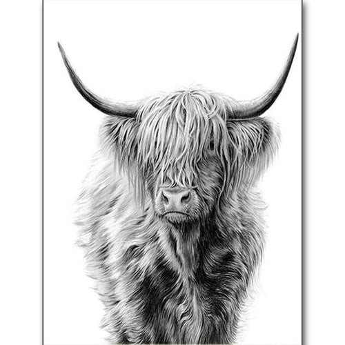 Schotse Hooglander | Diamond Painting
