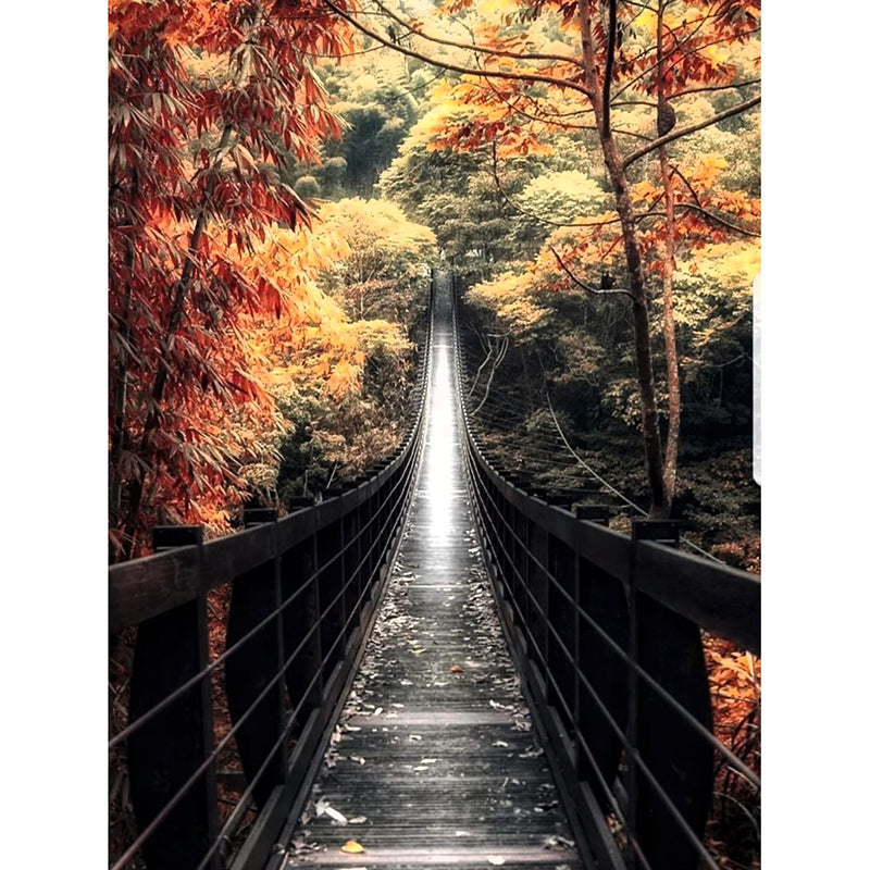Hangbrug | Diamond Painting