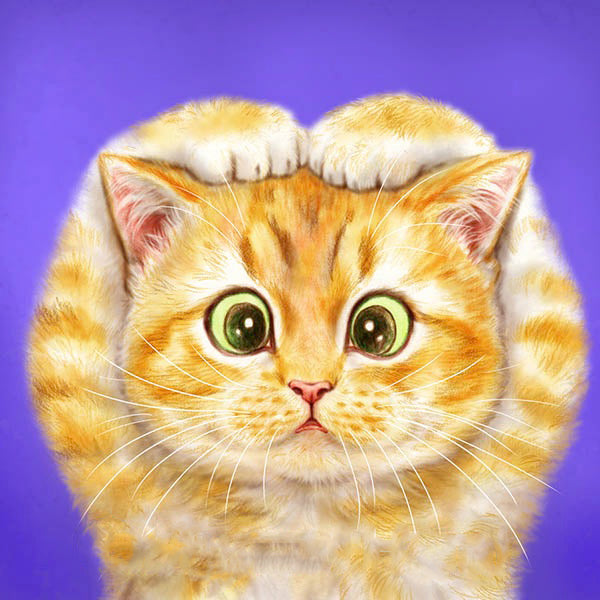 Kat