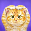 Kat