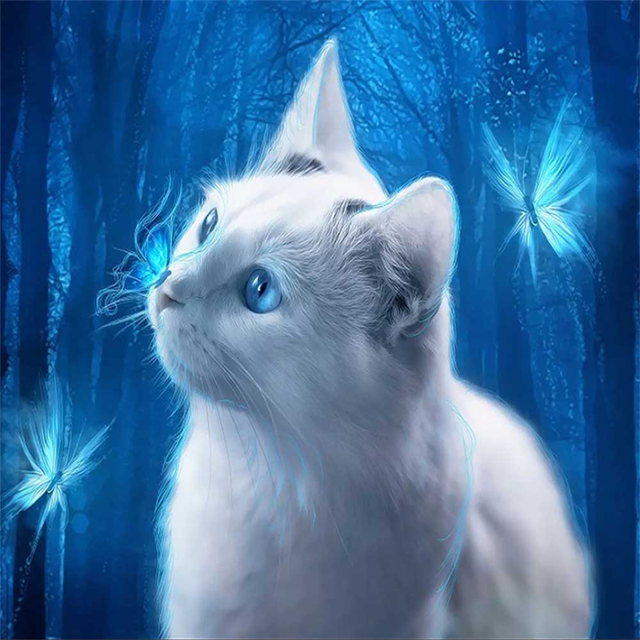 Witte Kat