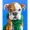 Bulldog | Diamond Painting
