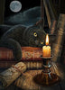 Zwarte Kat | Diamond Painting