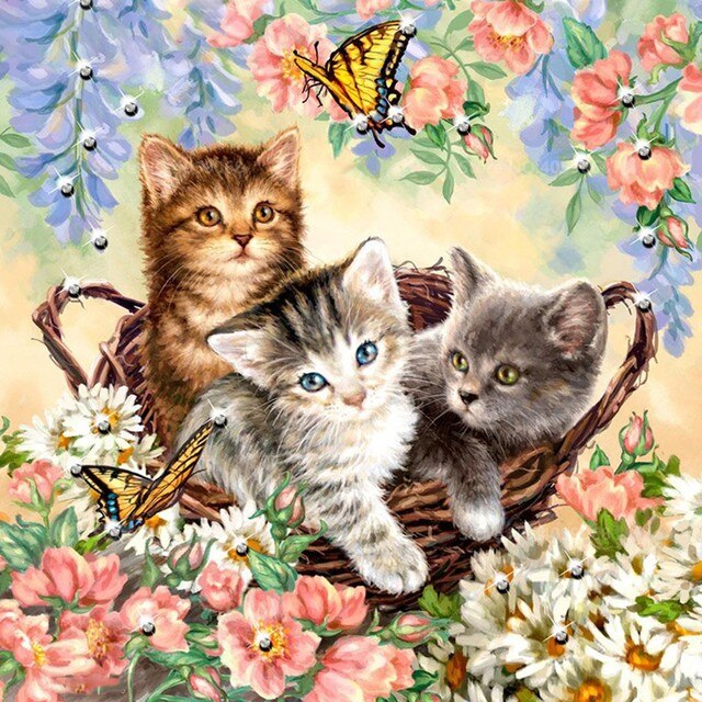 Kittens
