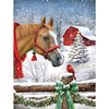 Paard - Winter