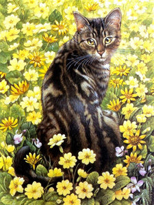 Kat