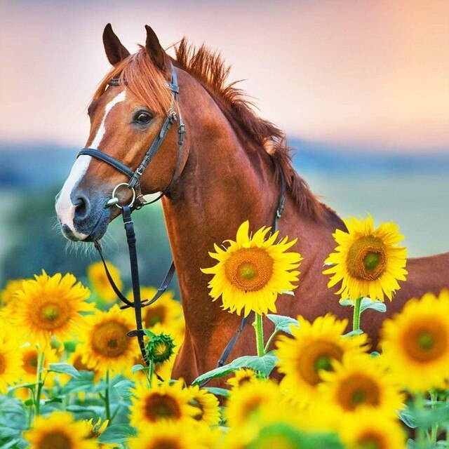 Paard - Zonnebloemen