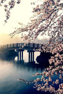 Brug