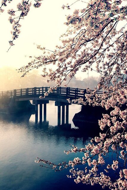 Brug