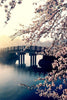 Brug