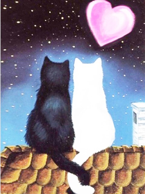 Katten Liefde