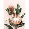 Bloem