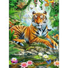 Tijger
