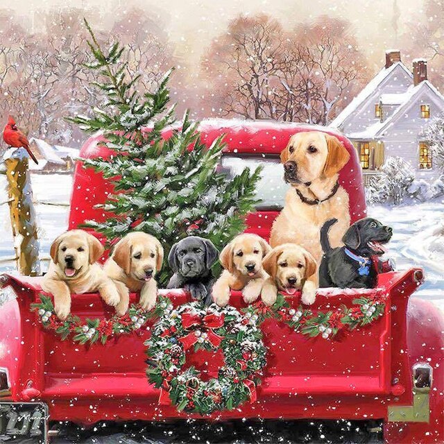 Pups In Truck