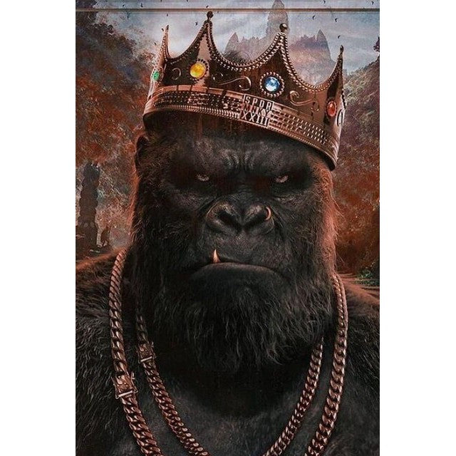 Gorilla