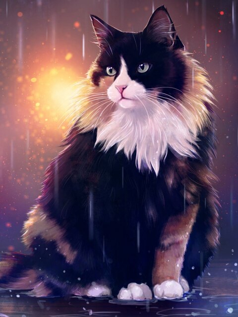 Kat