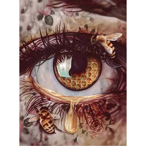 Oog