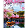 Japans Landschap