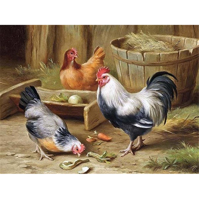 Haan & Kippen