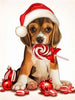 Puppy | Diamond Painting