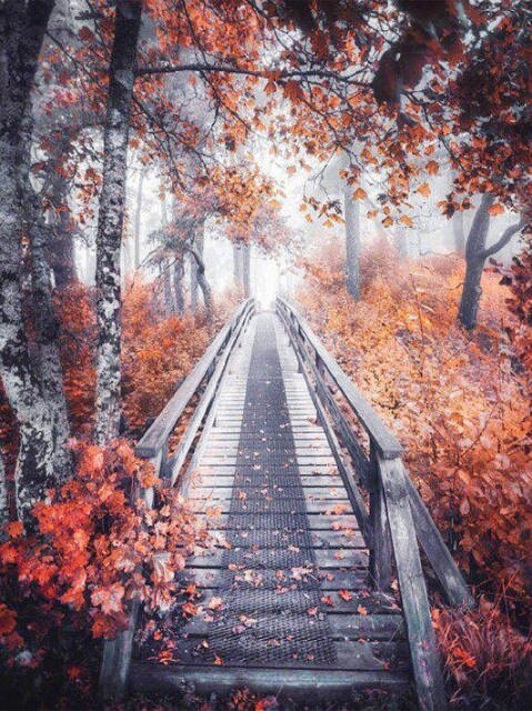 Brug In Bos | Diamond Painting