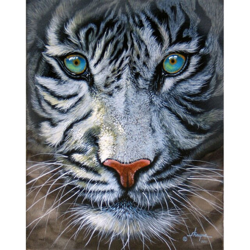 Witte Tijger