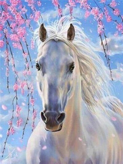 Paard