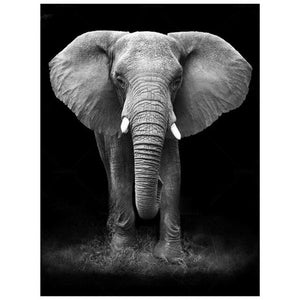 Olifant | Diamond Painting