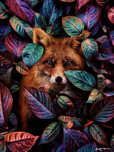 Vos | Diamond Painting