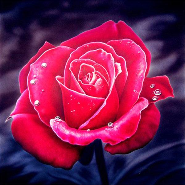 Roze Roos