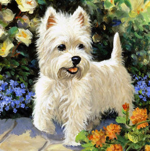 West Highland White Terrier | Diamond Painting