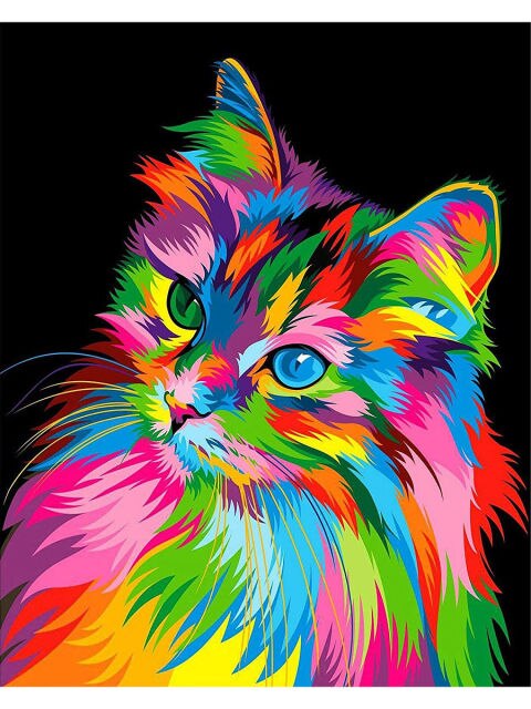 Kleurvolle Kat