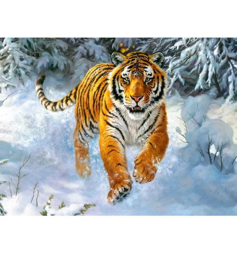 Tijger | Diamond Painting